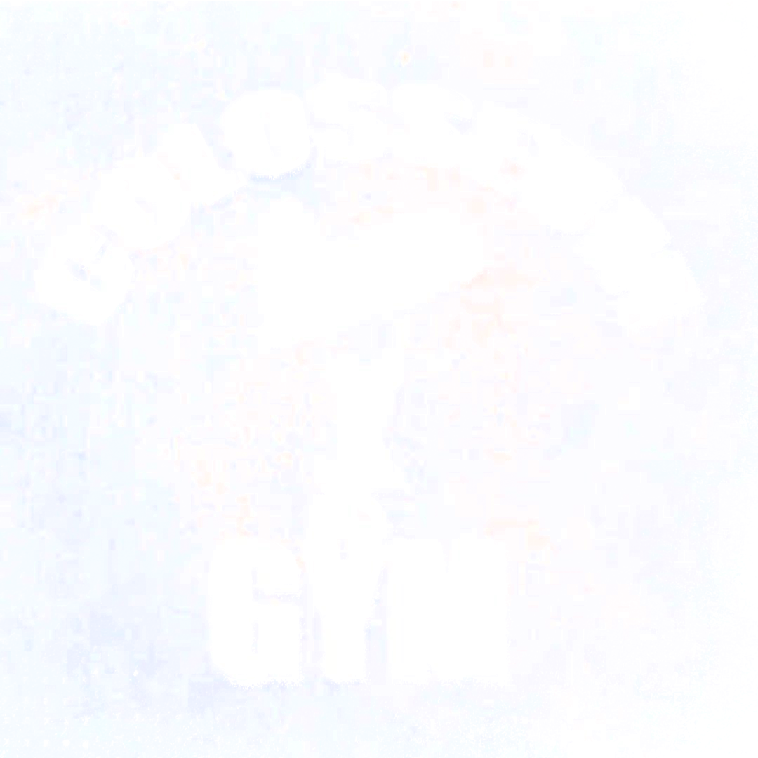 Colosseum Gym logo